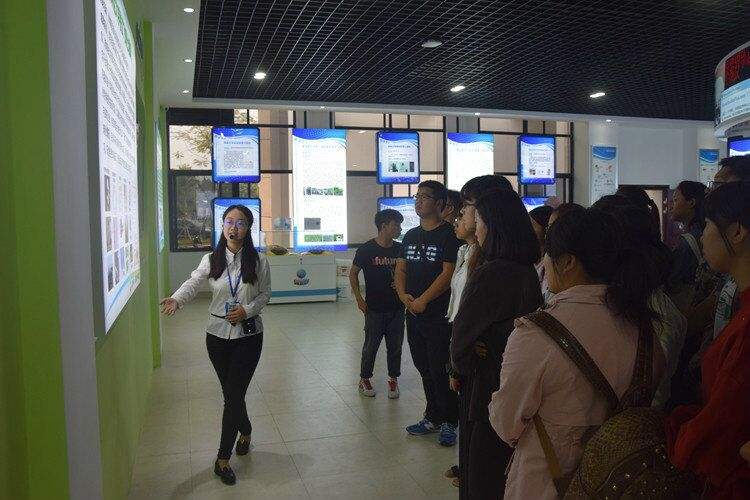 解说！小项目创业