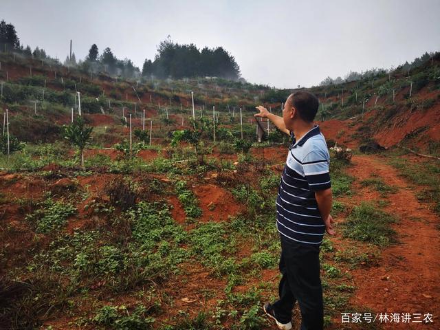 热点！农业创业项目"专业解答"