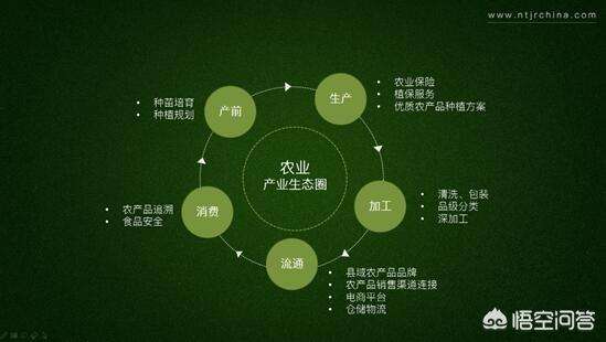 热点！农业创业项目