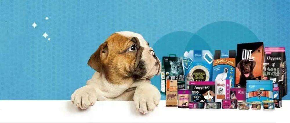 常见问题！宠物店投资创业方案