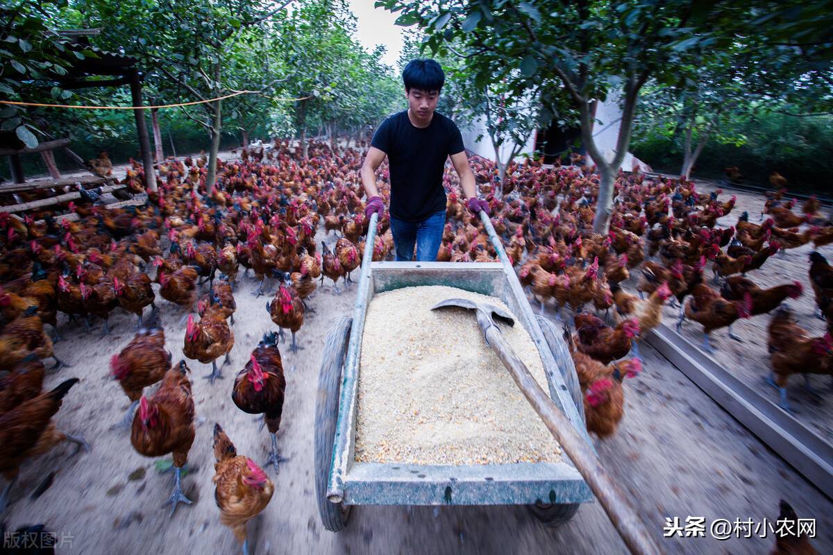 相关！创业项目致富