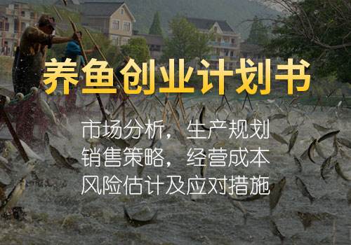 解释！生态养殖创业计划书