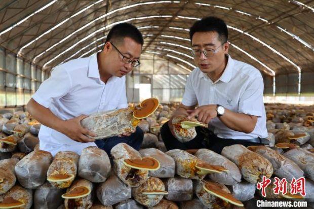 解释！致富创业