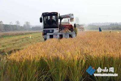 解释！适合农村的创业项目