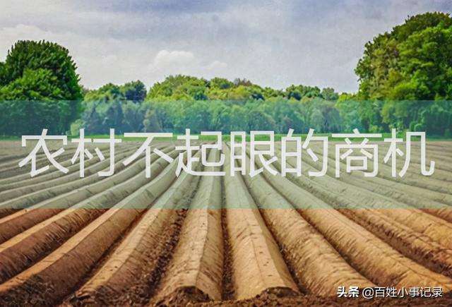 解释！适合农村的创业项目