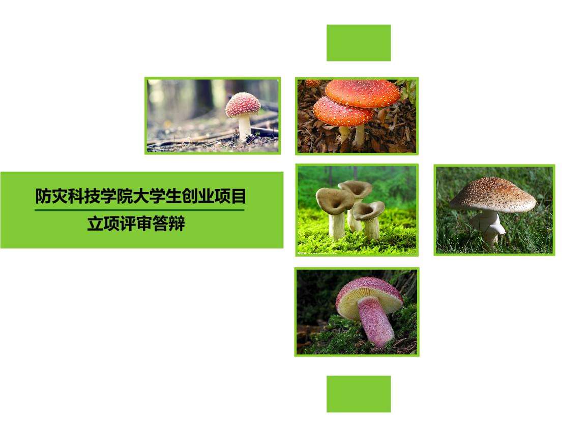 相关！农业创业项目