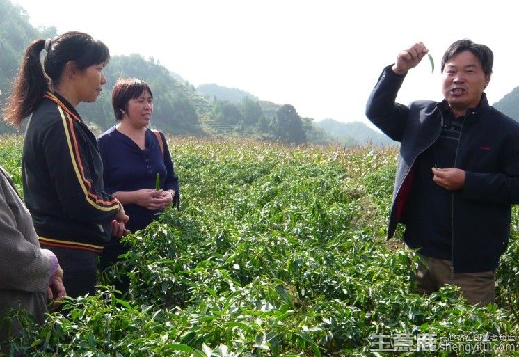 小知识！农村小本创业项目