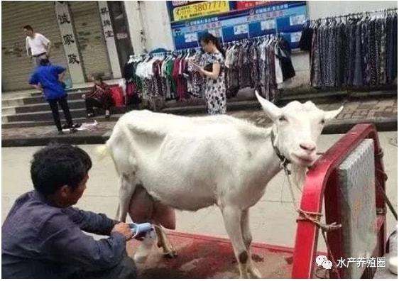 解释！适合农村的创业项目