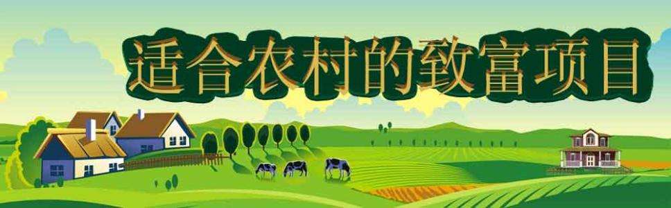 求答案！适合农村创业的项目"专业解答"