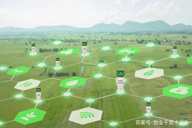 小知识！农村项目创业