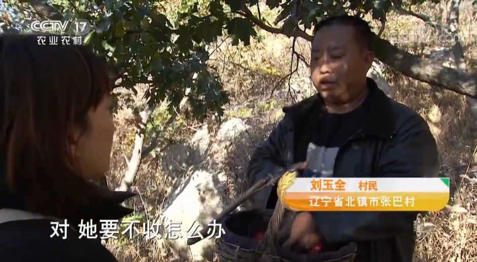 解说！创业致富经"专业解答"