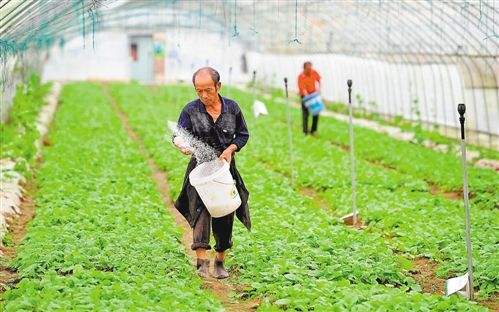常见问题！农民创业项目
