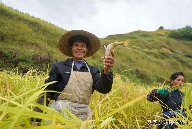 解释！农村小本创业项目