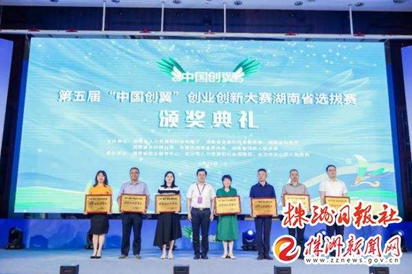 解说！服务业创业项目