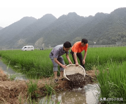 常见问题！农民创业项目