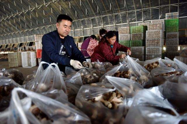 80后如何创业"专业解答"