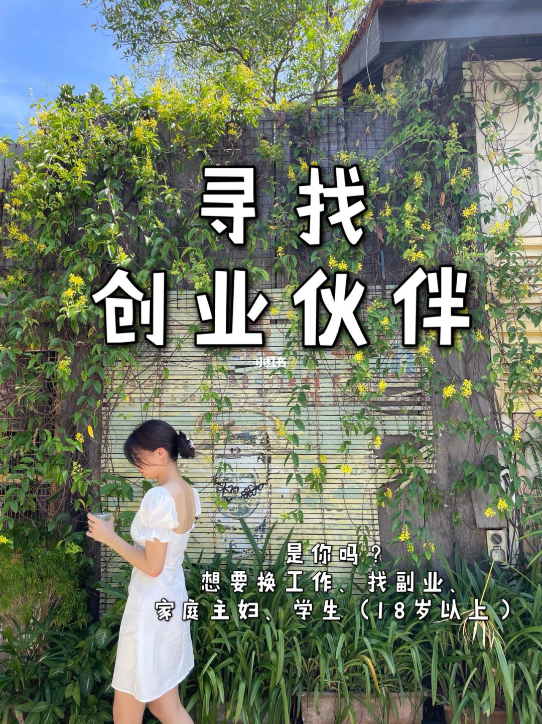 相关！创业赚钱项目