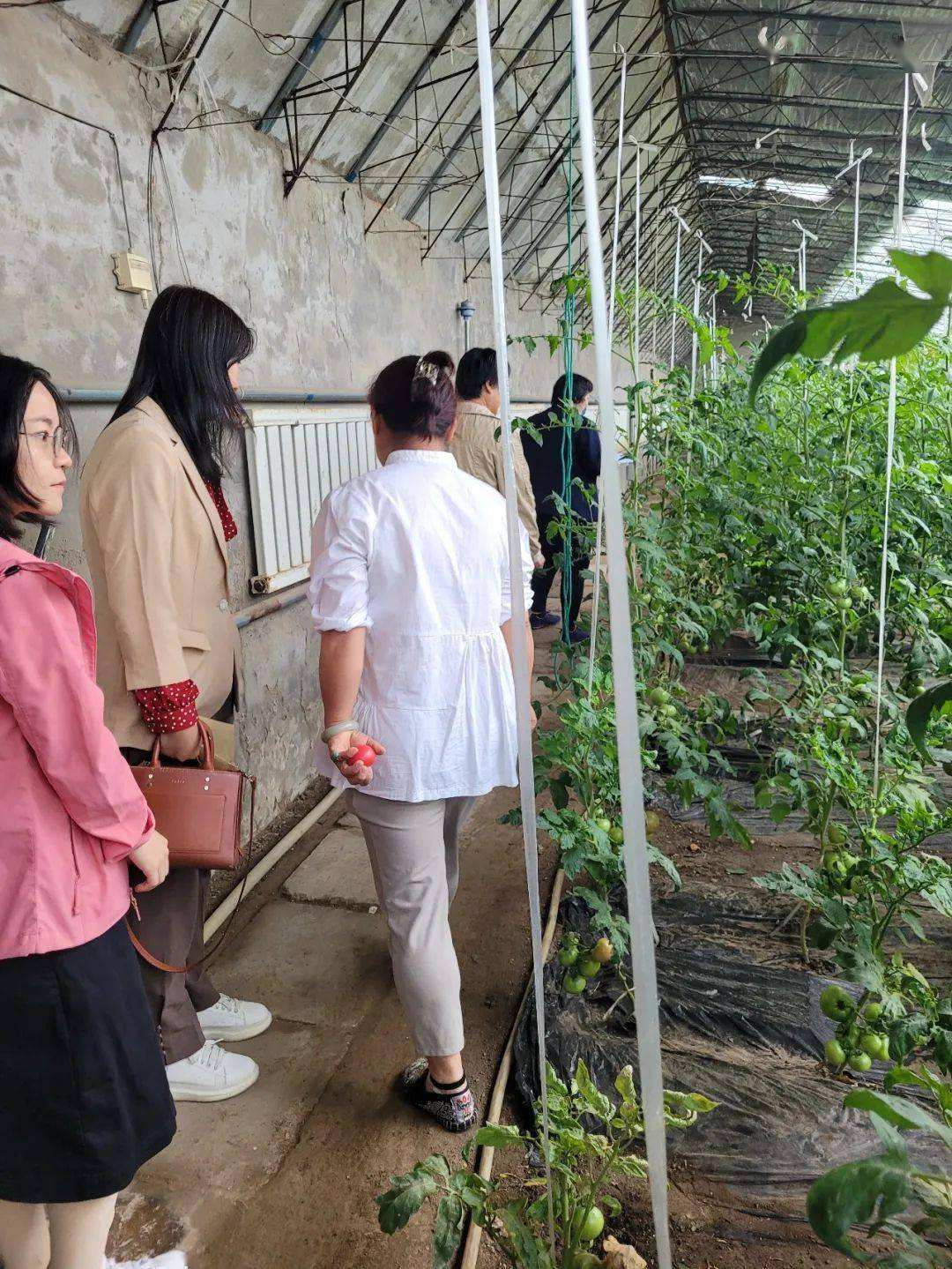 热点！农业创业项目