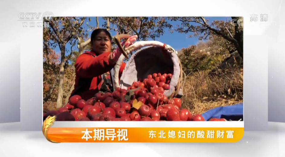 解说！创业致富经