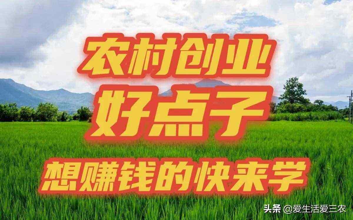 相关！创业点子推荐