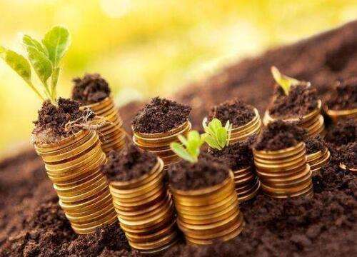 求答案！自己创业做什么好