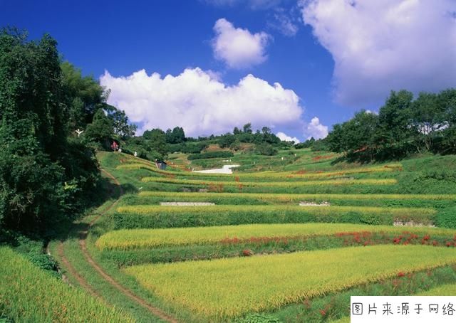 解答！农村创业致富项目