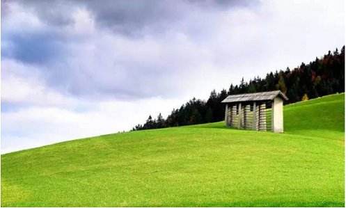 小知识！农村创业点子"专业解答"