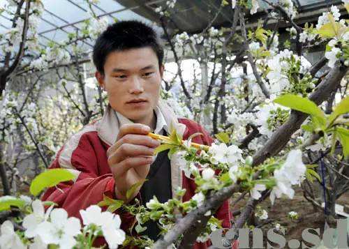 小知识！农村创业点子