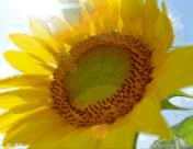 小知识！创业学