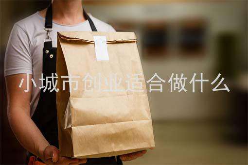 解说！小城市创业项目"在线解答"