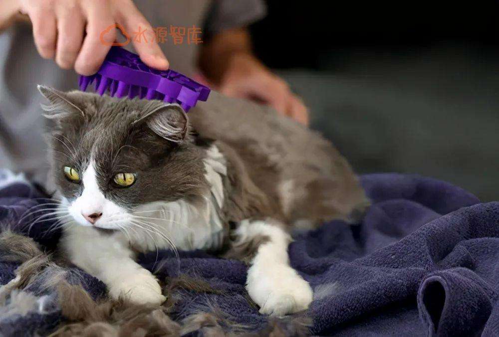 解释！8个稳赚的女性创业