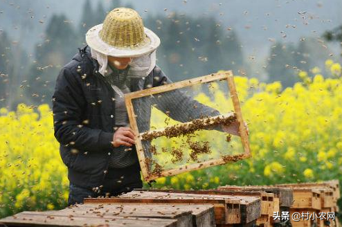 求答案！农民创业致富好项目