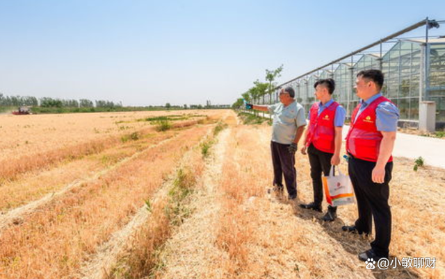 小知识！农村创业网