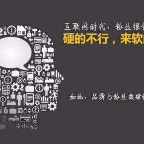 常见问题！网络创业网