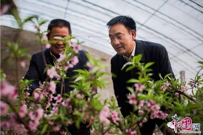 小知识！农村创业