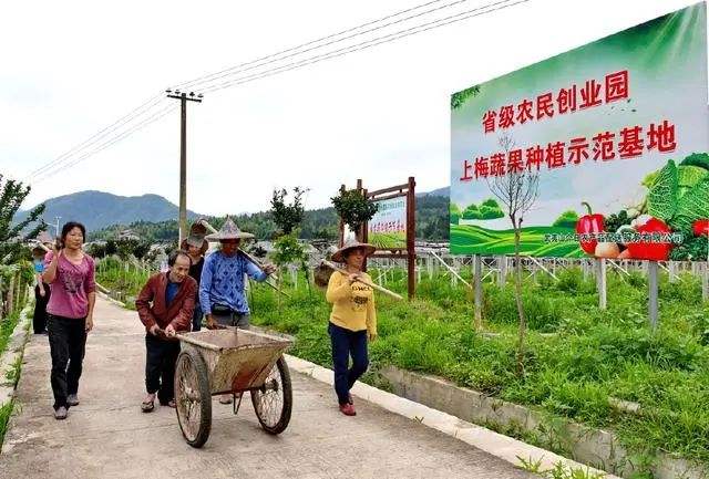 热点！农村创业致富网