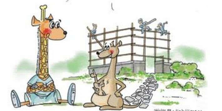 解释！农村创业故事