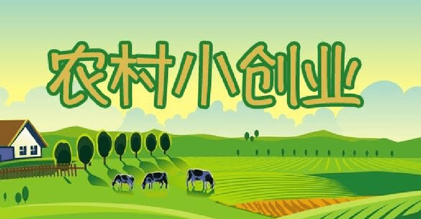 解说！小本投资创业项目