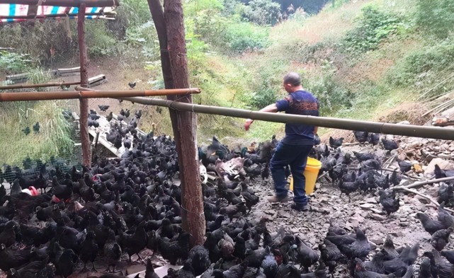 常见问题！出狱后创业挣千万