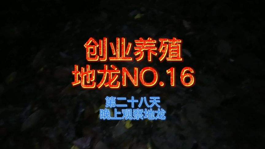 小知识！乡镇创业