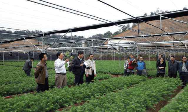 常见问题！出狱后创业挣千万