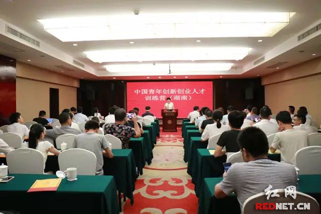 热点！青年创业基金会