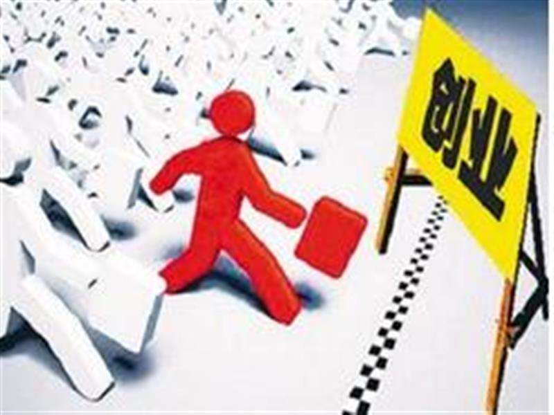 解释！深圳创业项目"专业解答"