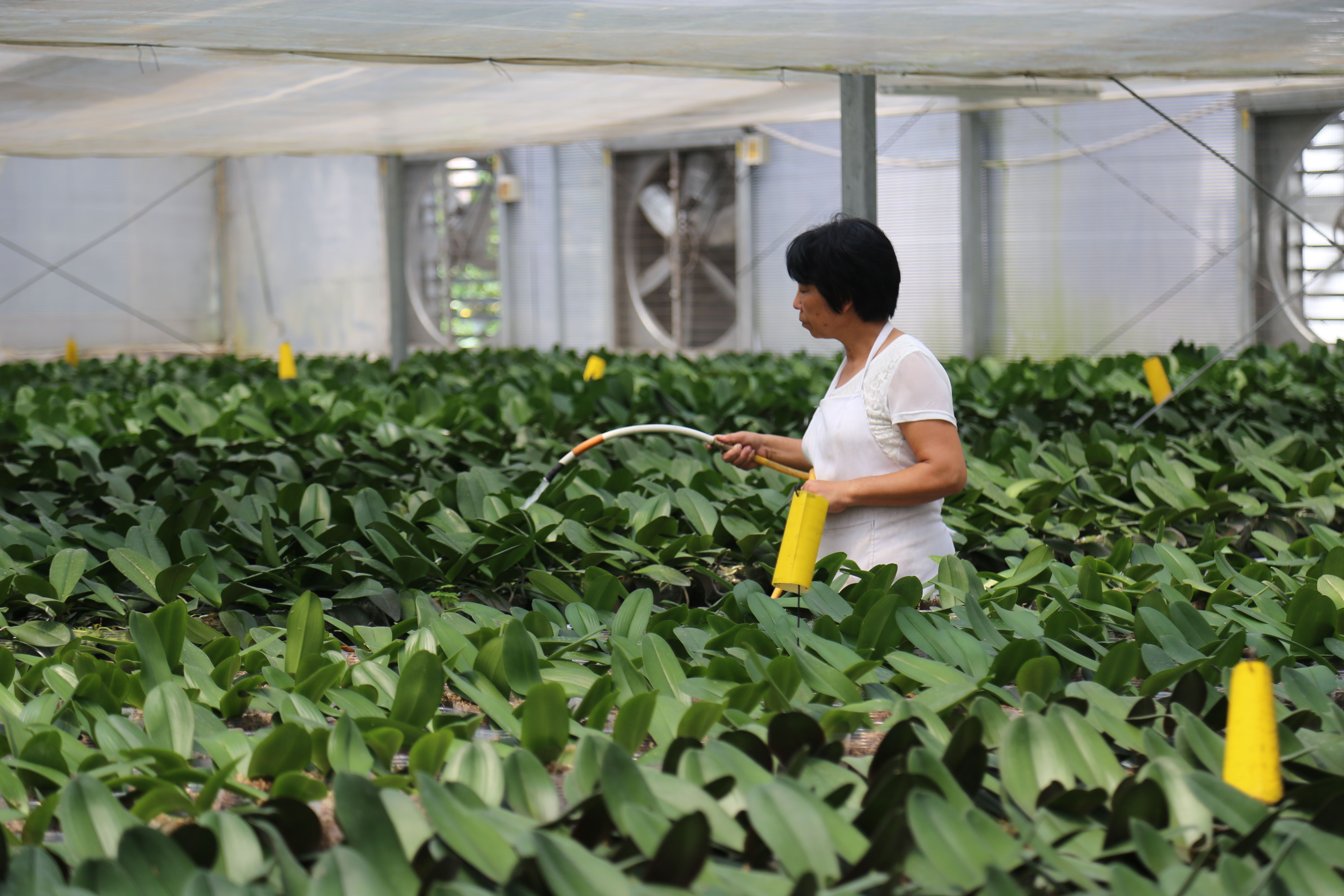 小知识！台湾农民创业园