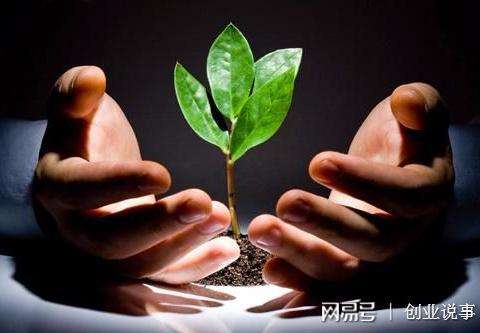 相关！80后创业故事