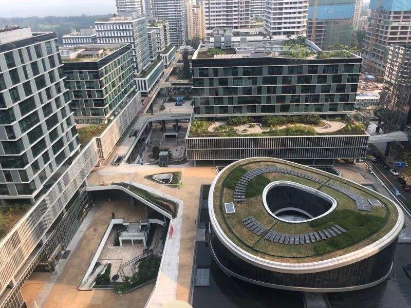 小知识！深圳湾创业广场