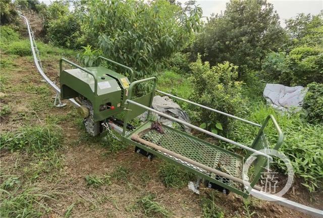 金点子创业项目