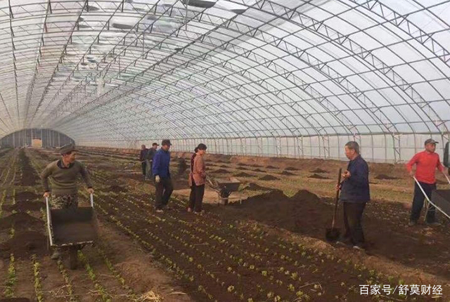 求答案！农村创业项目推荐