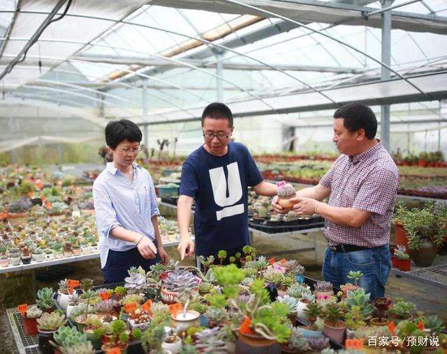 解说！最新农村创业项目