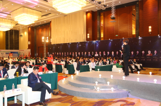 解释！中国自主创业大会